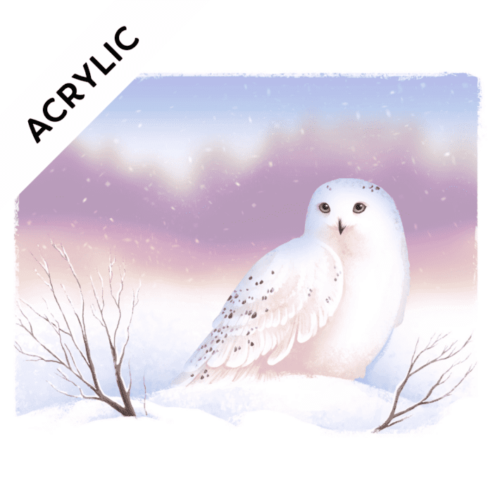 Thursday Painting Class: Snowy Owl by Haley Ray<h6>April 10</h6>