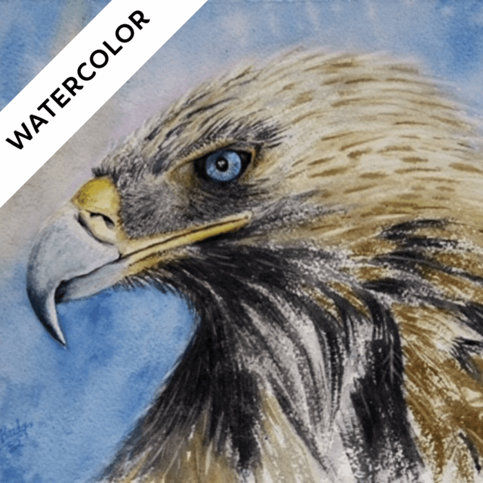 Friday Watercolor: "Golden Blue Eyed Eagle" by Paula Bridges<h6>March 21</h6>