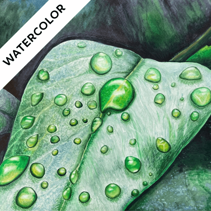 Friday Watercolor Class: Water Drops in Watercolor <h6>February 7</h6>